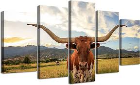 longhorn koeien