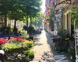 biologische supermarkt amsterdam