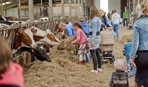 boerderij dagen