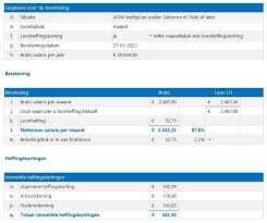 jaarinkomen berekenen