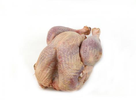 wild vlees bestellen