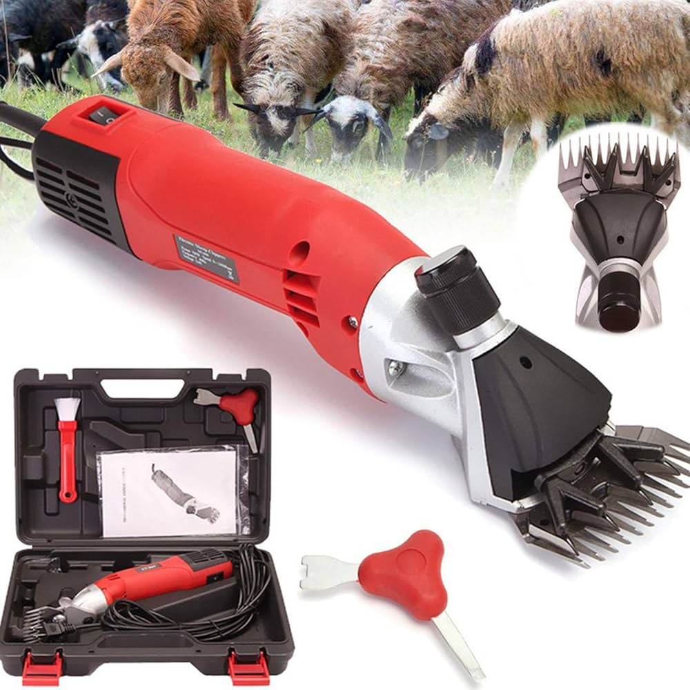 boerderijdieren verzorgen