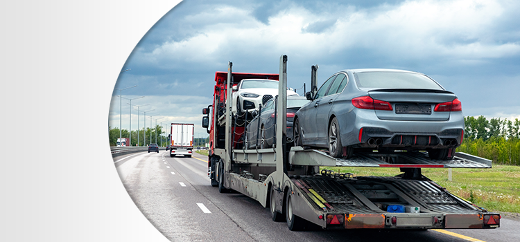 auto invoeren kosten